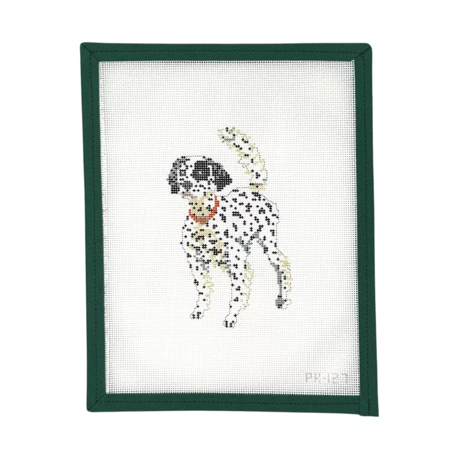 “Beau” English Setter