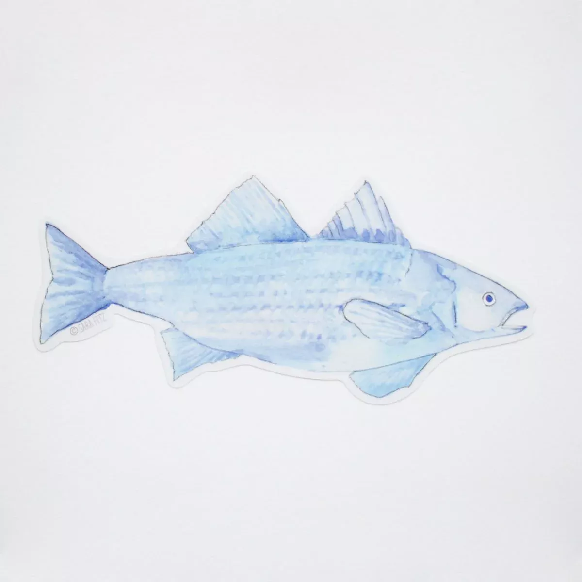 Blue Fish Sticker