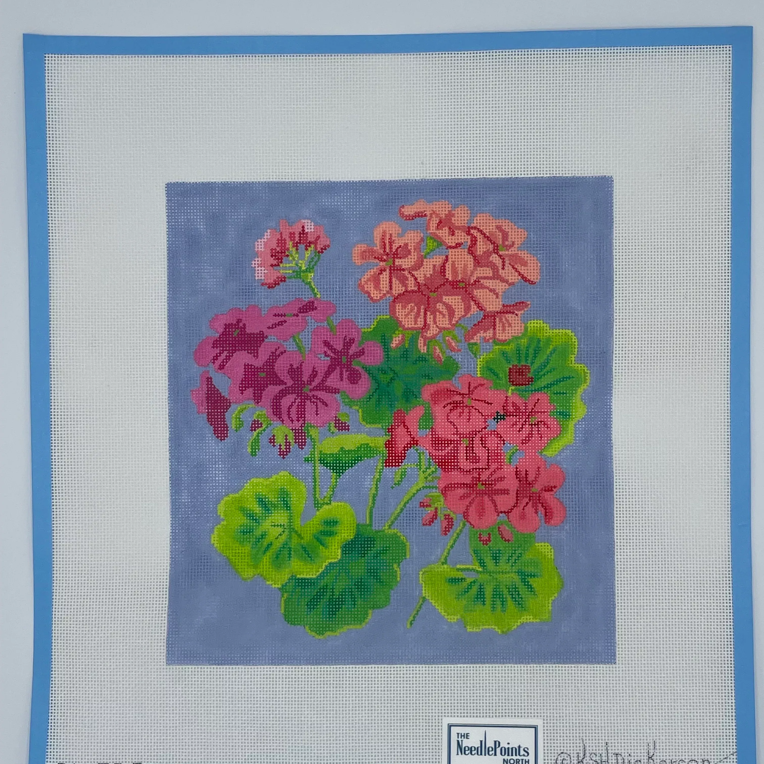 Bright Geraniums on Periwinkle Blue