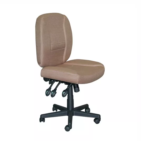 Horn of America 6-Way Deluxe Adjustable Chair 17090C – Tan