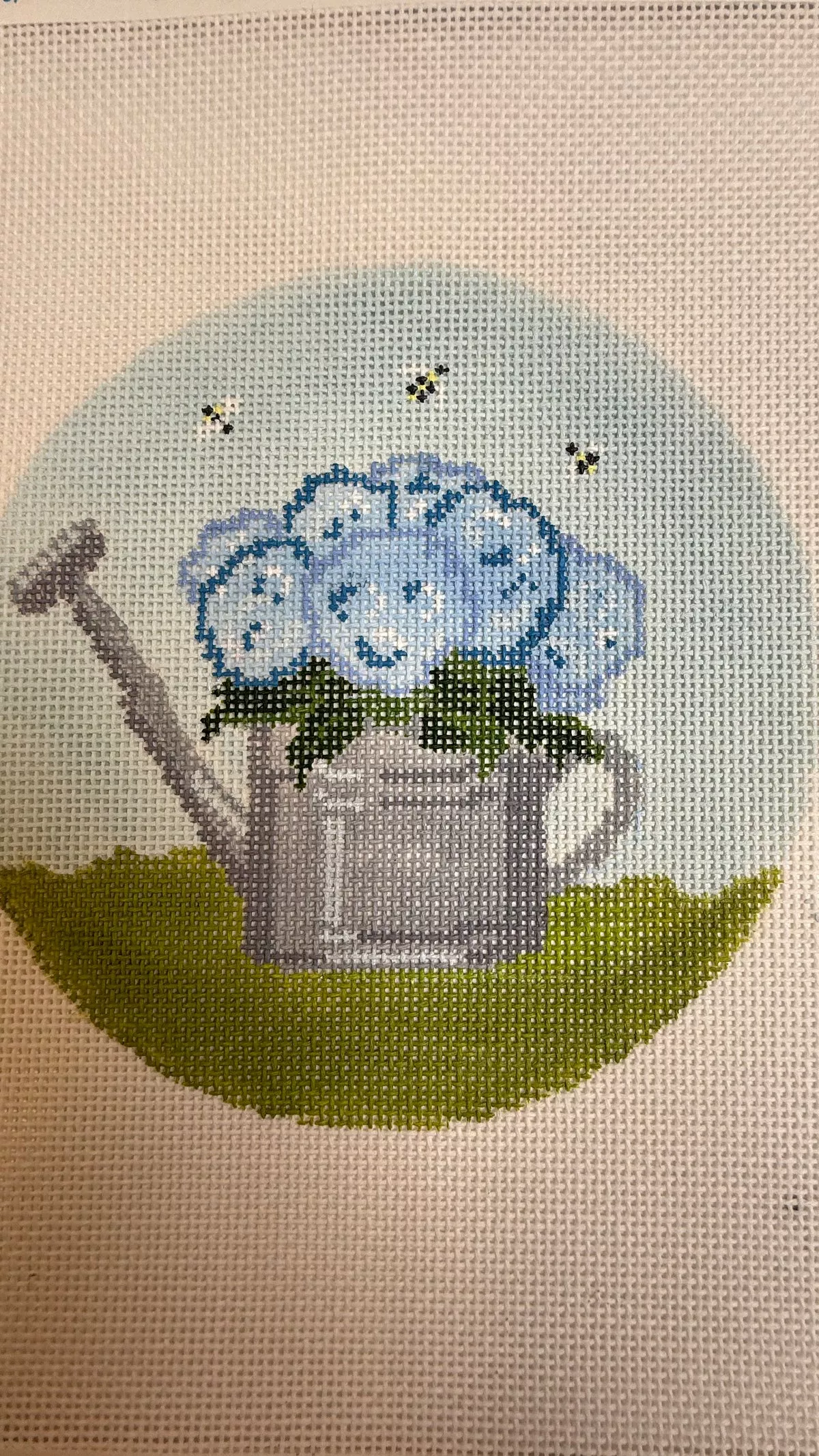 Hydrangea in Watering Can