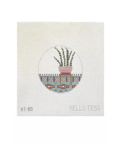 Indoor Yucca Plant HT79