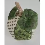 Joni's Pumpkin WG11924