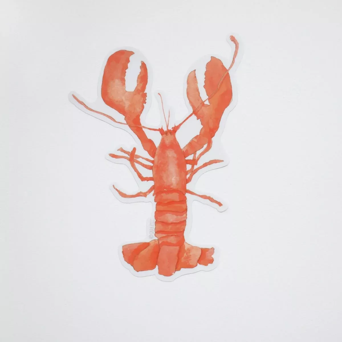 Lobster Sticker