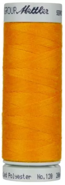 Mettler Seracycle - 0122