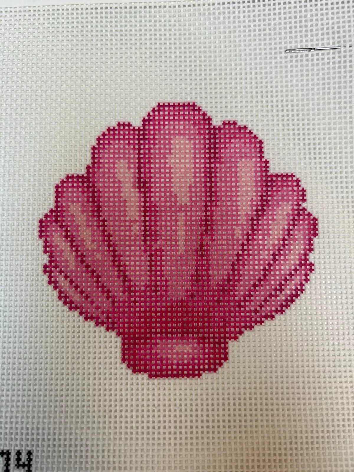 Pink Shell ZS274