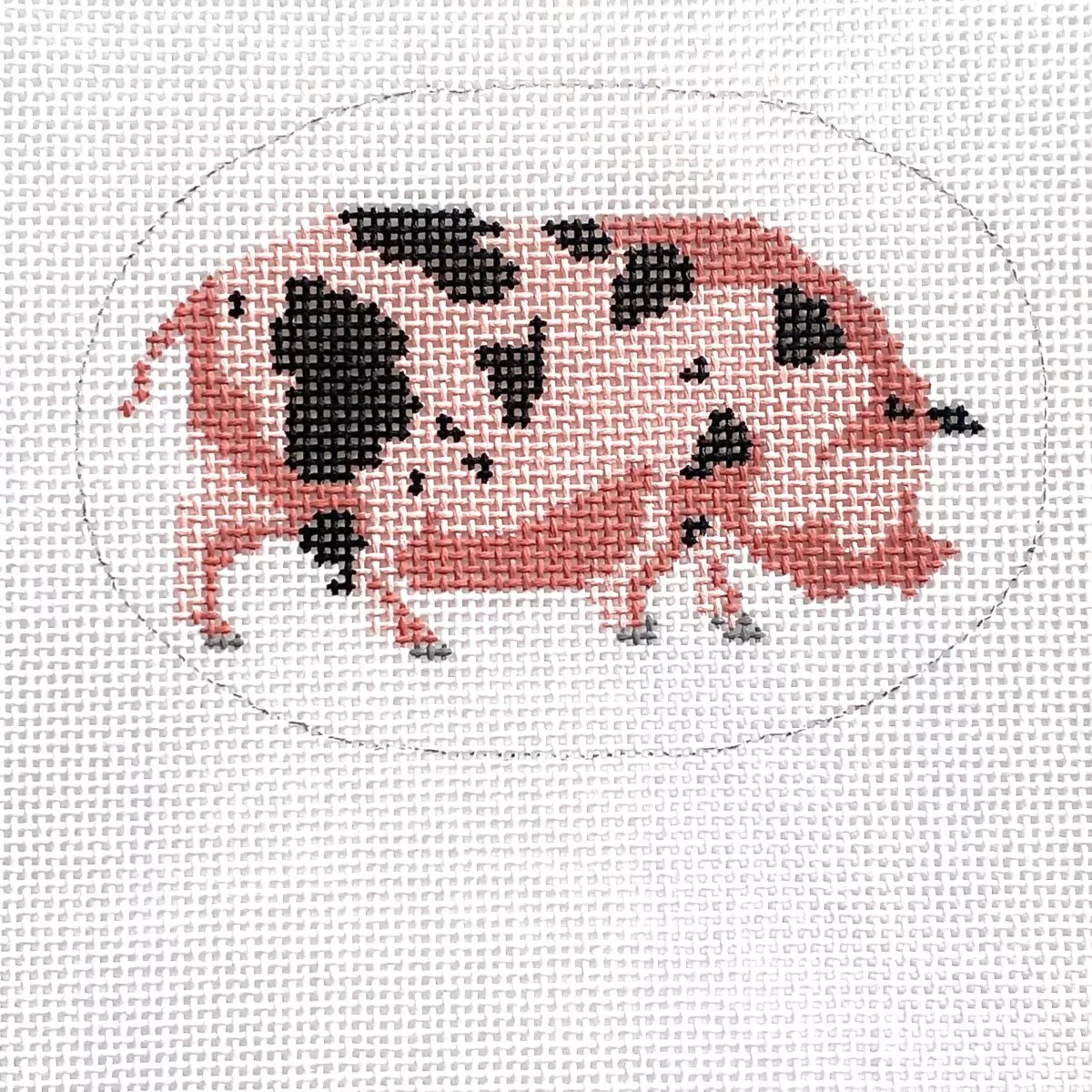 “Sammy” Spotted Pig