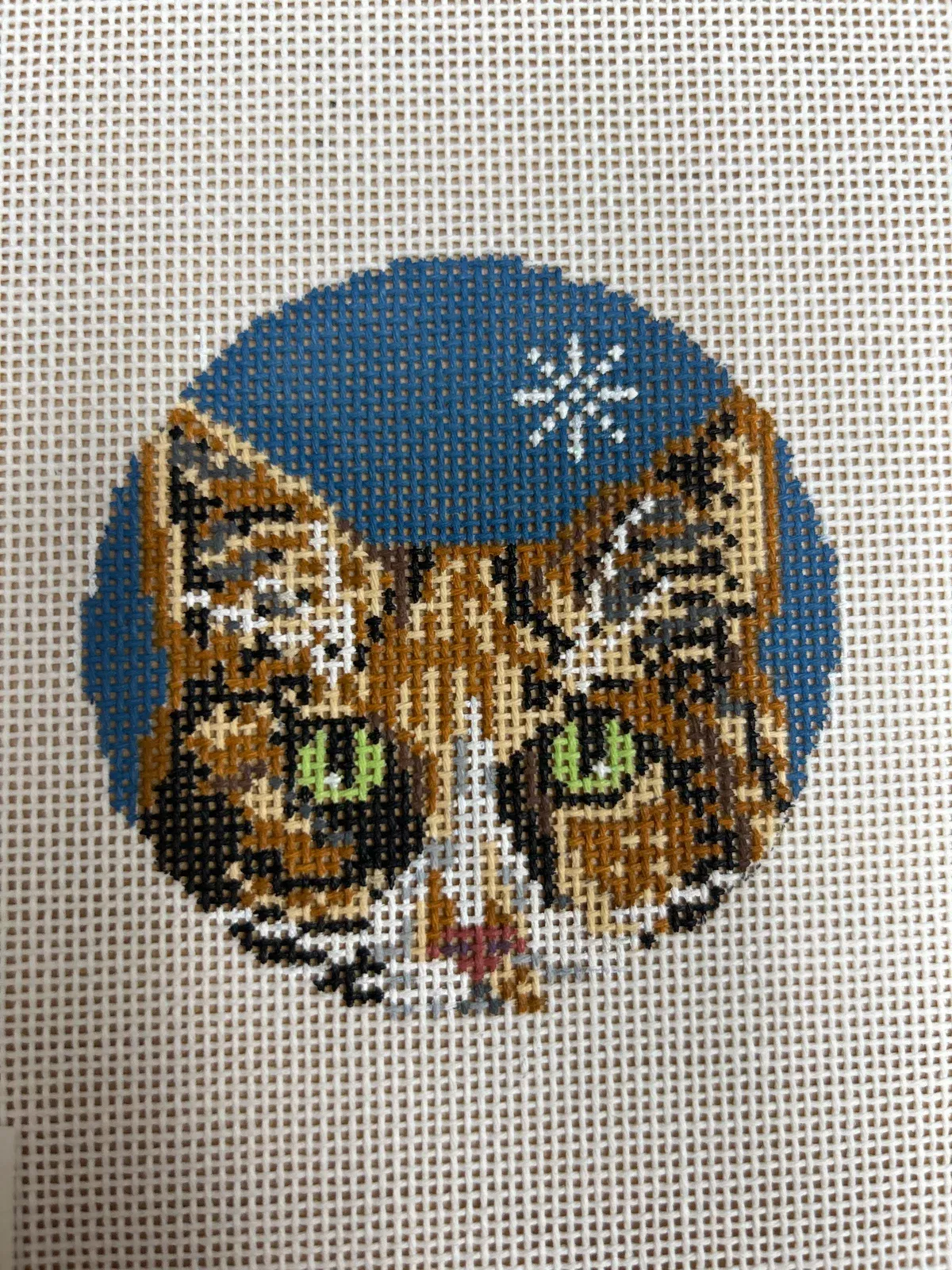 Tabby Cat 1734