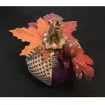 Tabitha's Pumpkin on 13m WG11920-13