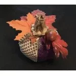 Tabitha's Pumpkin WG11920