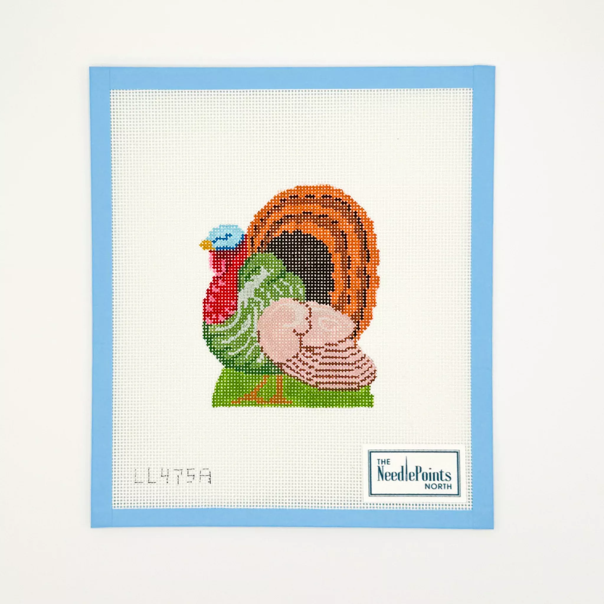 Turkey - Orange tail feathers
