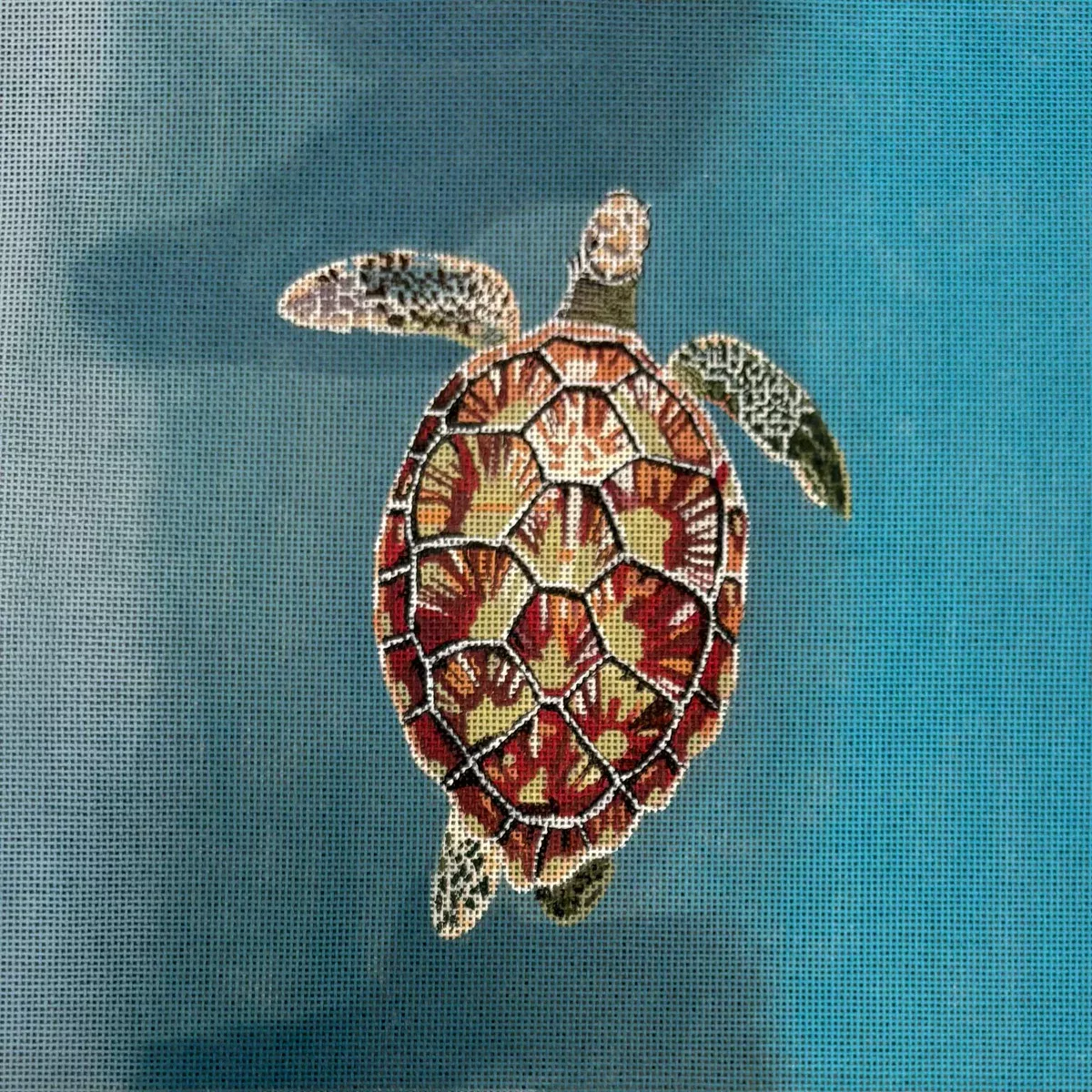 Turtle GIA 03