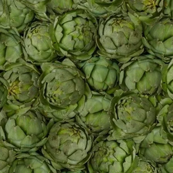 Windham - 51897D Artichokes
