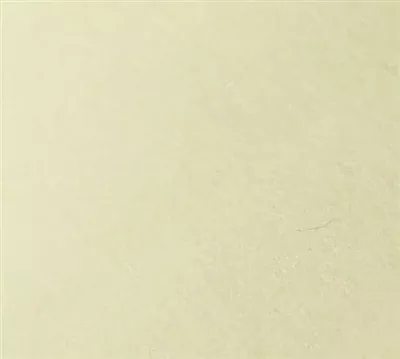 Wool Felt Sheet - Barely There Yellow (33)